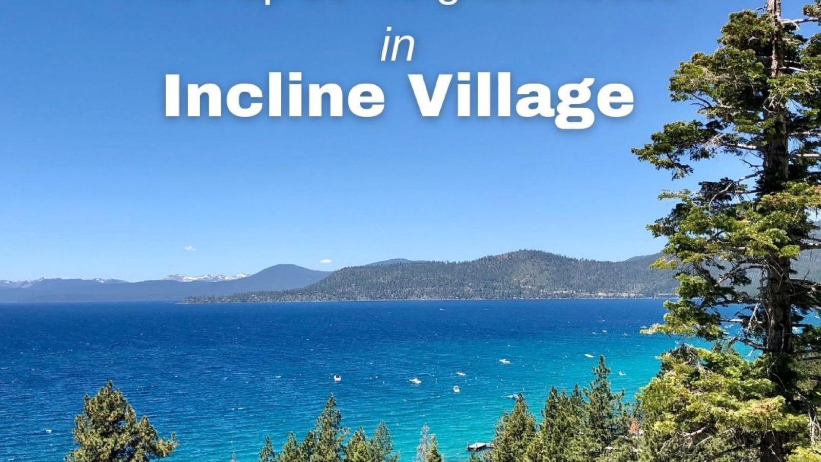 Incline Village Nevada residential street surrounded by tall Sierra Nevada pine trees — school district overview 2026